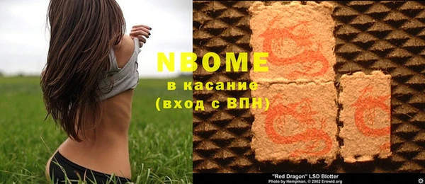 прущие грибы Красноперекопск