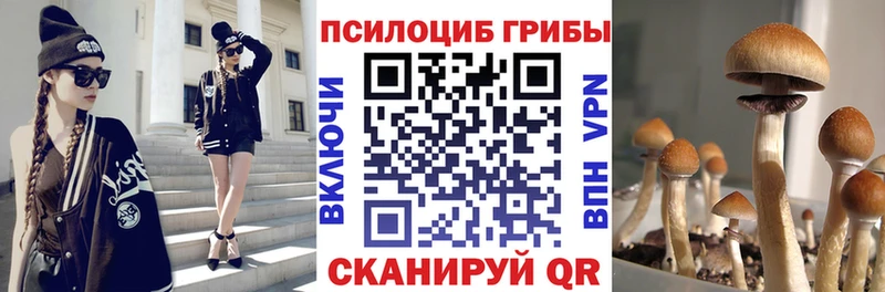 Галлюциногенные грибы Psilocybe  Кемерово 