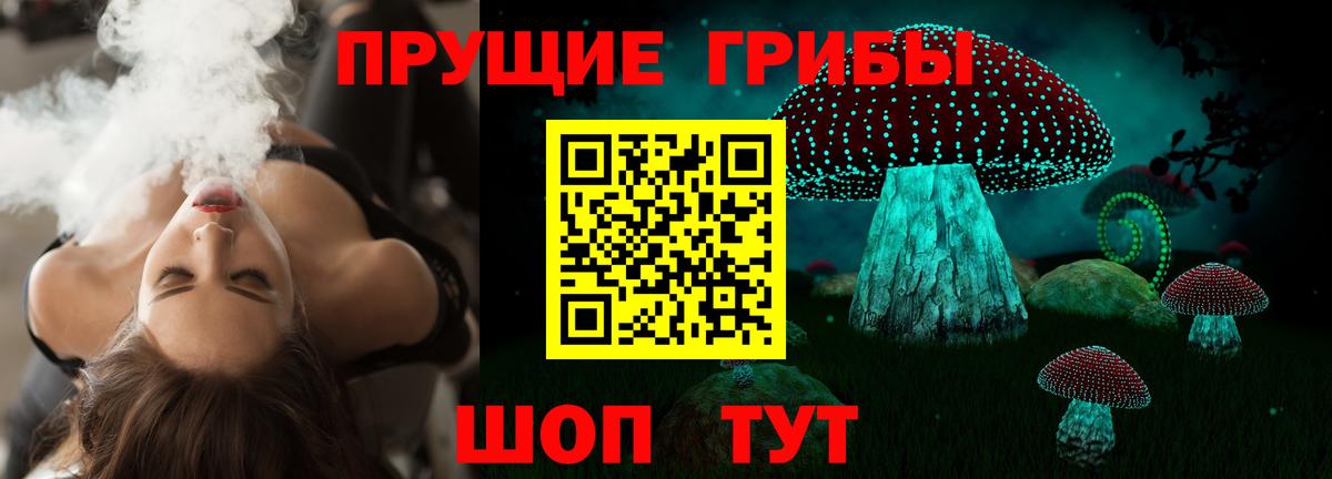 Псилоцибиновые грибы Psilocybine cubensis  Вход с VPN  Кемерово 